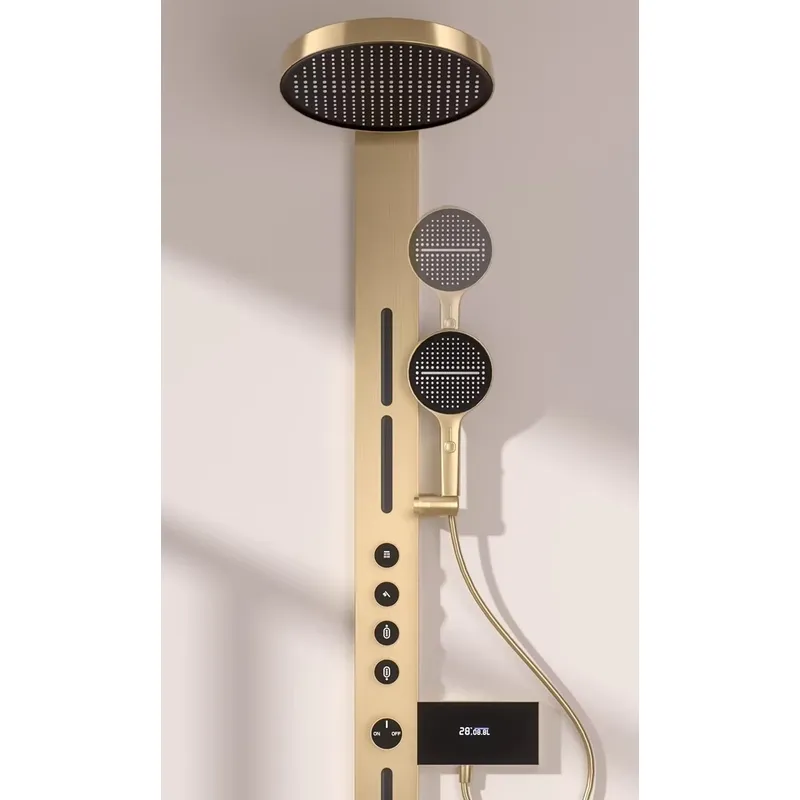 Brass Rainfall Shower Panel Se - Spa & Wellness Dr Roy Sothers review and price